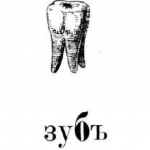 Зуб