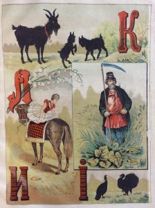 Коза, козлята, лошадь, мужчина, индюк, растения, цветок