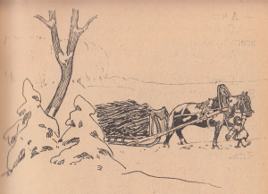 Лошадь, снег, мужчина